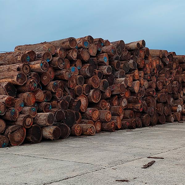 lavorazione-del-legno-conto-terzi-mantova-e-mirandola